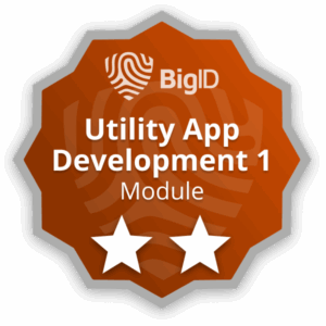 BigID-Utility-App-Development